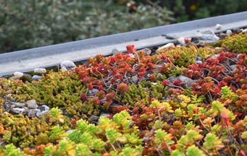 the cost of St Ive Cross green roof installation